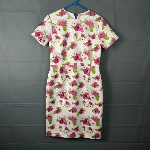 Rachel Parcell Dresses & Skirts - Rachel Parcell Dress Womens Large Floral Sheath Dress Midi Pink Back Zip